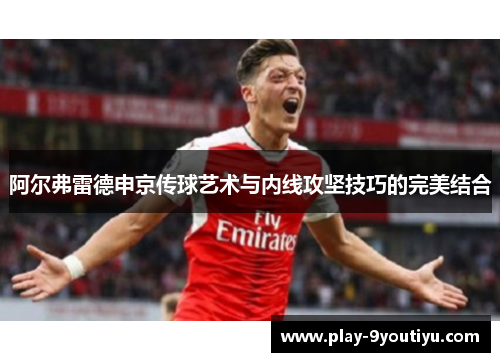 阿尔弗雷德申京传球艺术与内线攻坚技巧的完美结合
