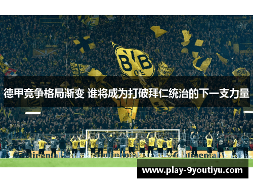 德甲竞争格局渐变 谁将成为打破拜仁统治的下一支力量