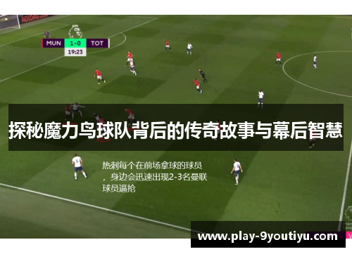 探秘魔力鸟球队背后的传奇故事与幕后智慧